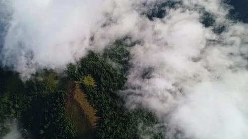 Über Nebelwolken auf dem Plateau