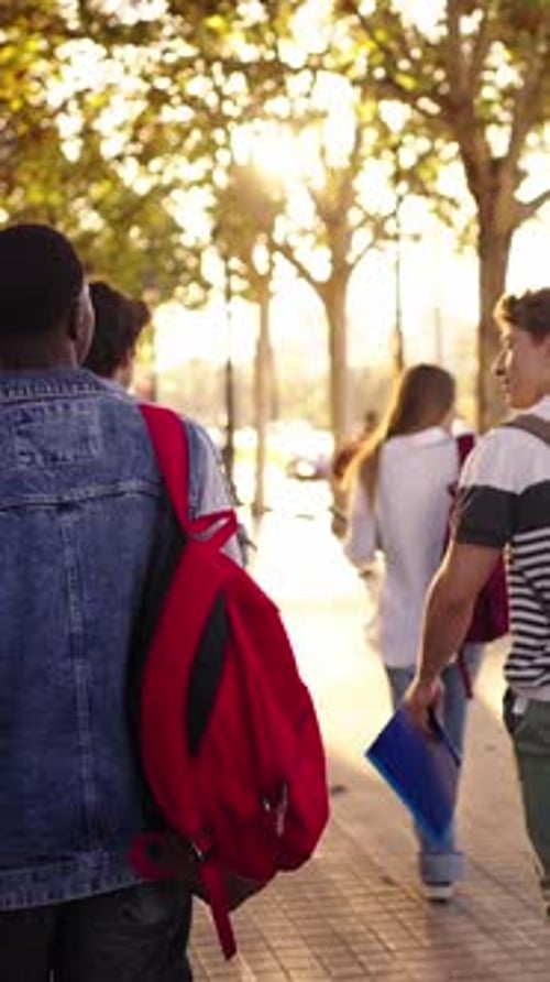 Rear View of Multiethnic Young Friend Secondary School Pupils with Backpacks Walking