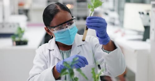 Science, mask and woman with plant in glass in laboratory for research, safety