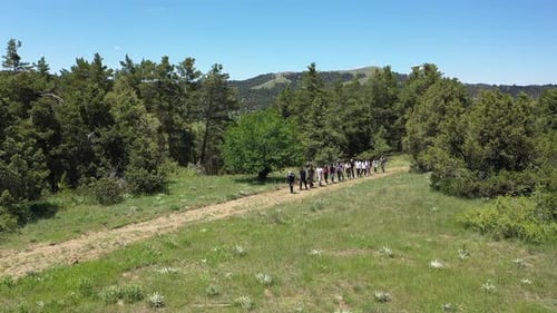 Group Of People Hiking On Forest Path With Aerial Shot 2