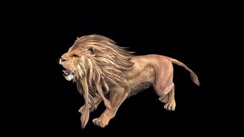 Powerful 3D Lion Roar Animation