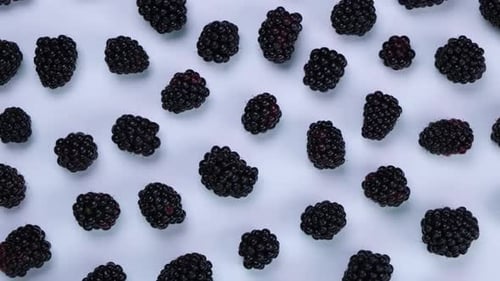 Rotating Blackberry Berries on White Background Top View