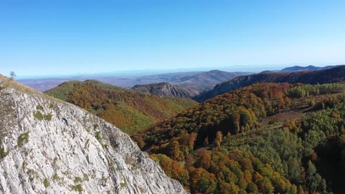 Flying above sunny autumn alpine mountain cliffs and colorful forest by drone