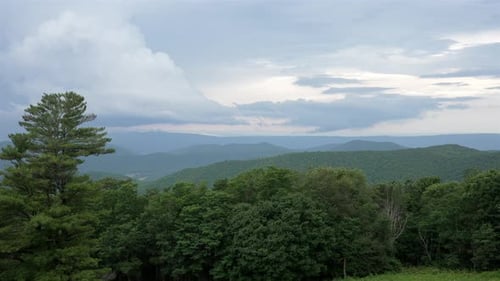 Statische Aufnahme einer weiten Berglandschaft mit markanter Pinie im Vordergrund. Decke aus üppigen Wäldern