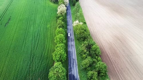 Aerial shot of a road with trees green and yellow fields on the sides cars passing by zala county hu