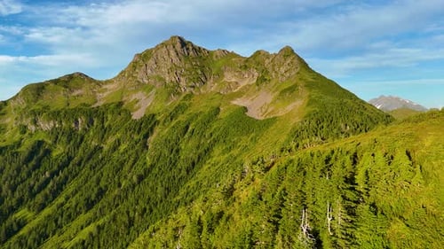 Aerial view of mountain with green trees, United States.