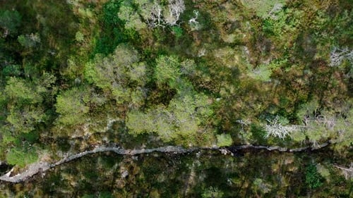 Top View Of A Hiker With Dog On Tracks Between Hasselvika And Rissa In Blaheia Mountain, Norway. Ae