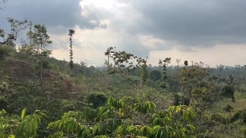 mountain nature