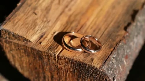 Gold Wedding Rings