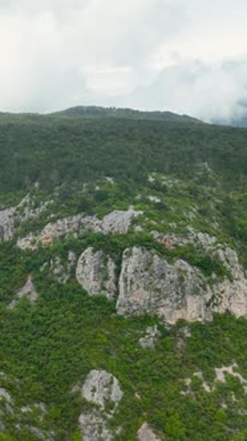 Vertical Video Aerial Encounter with RainWashed Green Wilderness Cinematic Exploration of Nature's