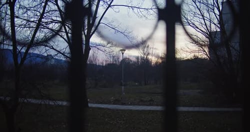Timelapse in park and Tall Trees over Blue Sky behind the Windows of Living Room day to night lapse