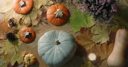 Pumpkins, Leaves, Candles on Floor