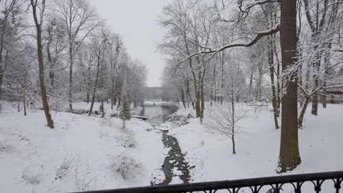 A beautiful walk through the winter forest. Trees, branches and bushes in the snow. Snow everywhere.