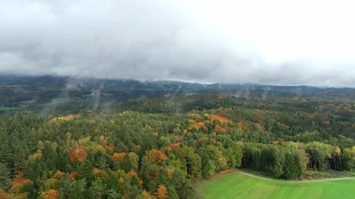 Fog Over Autumn Forest In The Countryside - Aerial Drone Shot