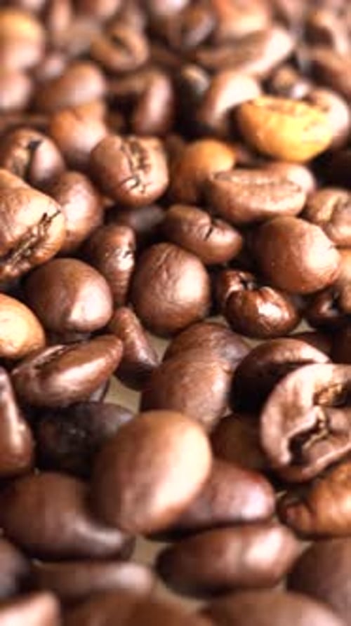 Vertical Video of Coffee Beans Rotates