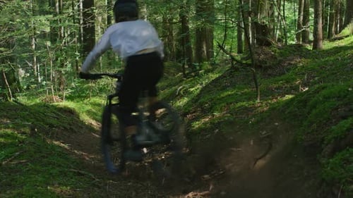 A mountain biker is riding down a fresh trail in a forest