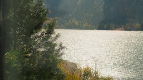 Malerischer Rippling Lake und Forestry Hills