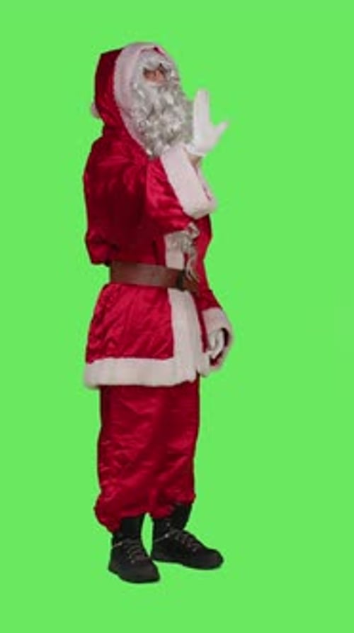 Vertical Video Side View of Christmas Embodiment Character