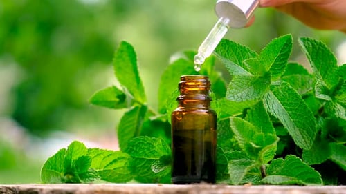 Extracting Herbal Essential Oil from Bottle