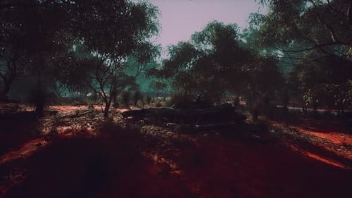 Australian Outback with Trees and Yellow Sand