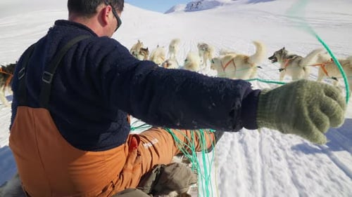 Dog Sled Team Across Snowy Winter Landscape