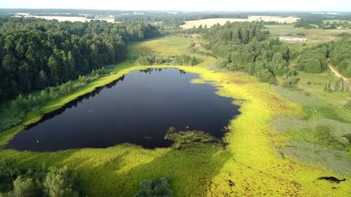 Summer Landscape And Lake Ranino