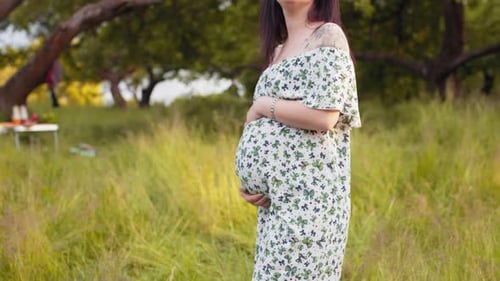 Pregnant Woman Smiling in a Field