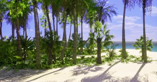 Tropical Paradise with Palm Trees and Ocean in Sunny Weather