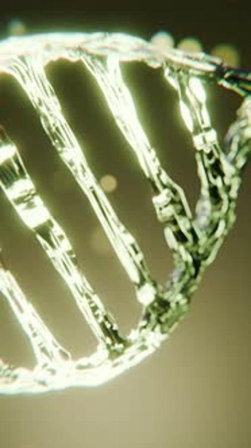 DNA Molecule Research 3D Animation