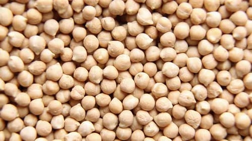 Pile of Dried Chickpeas Close Up