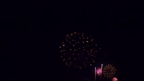 Brilliant Fireworks Bursting in the Night Sky