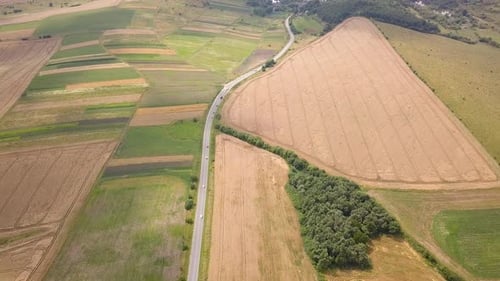 Aerial View of Yellow Agriculture Wheat Field Ready to Be Harvested in Late Summer