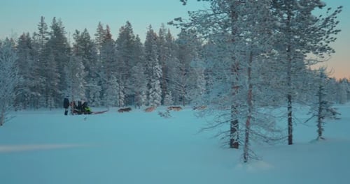 Experience a Magical Husky Sled Adventure Through a Snowy Forest
