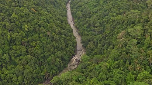 Aerial view of river winding through bali jungle
