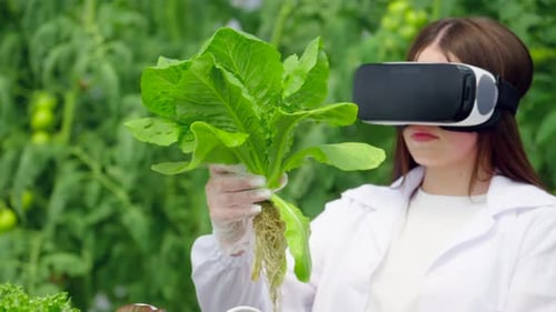Woman With VR Headset Holding Lettuce in Greenhouse