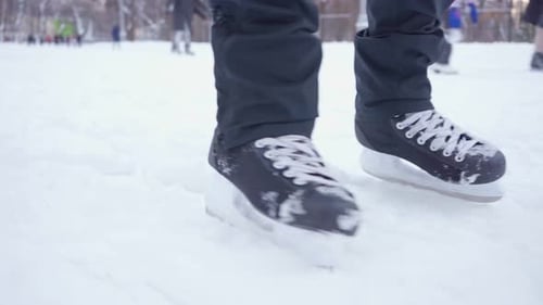 Close Up of Black Skates