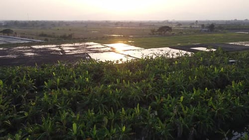 Aerial view of agricultural fields in early spring. Agricultural landscape