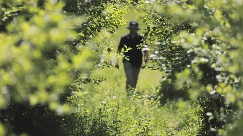 Wanderer mit Rucksack, der im Wald spaziert