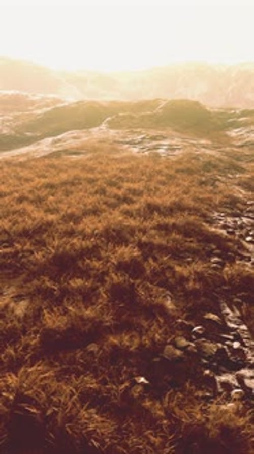 Dry Grass Fields and Mountains in Nepal