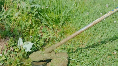 Der Trimmerkopf mäht Gras mit einer rotierenden Linie