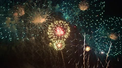 Vibrant Fireworks Exploding in the Night Sky