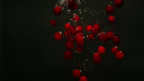A Slowmotion Video of a Large Number of Cranberries Falling Into the Water