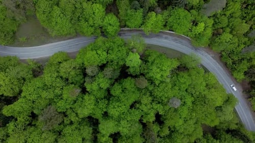 Top View of Car Drives Along Road in Countryside Irrl