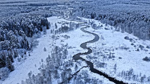 Curvy river and snowy forest in winter. Nature in Poland.