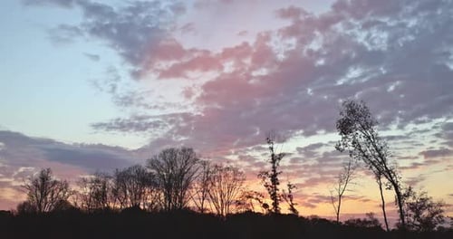 Golden Sunset Sky with Silhouetted Trees