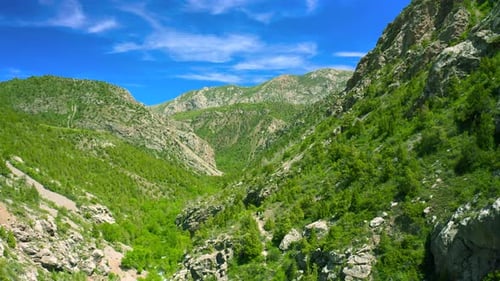 Aerial View of a Green Mountain Valley with Sparse Trees and a Hiking Path Himalayas