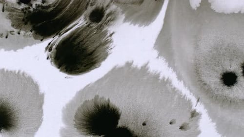 Hison Sammlung: Ein Mosaik aus Tintentropfen bewegt sich auf dem Papier langsam nach oben