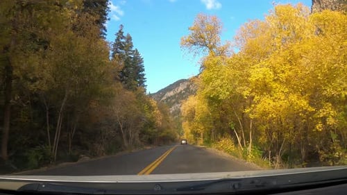 POV View of Car Driving through Vibrant Fall Leaves in Utah Mountains