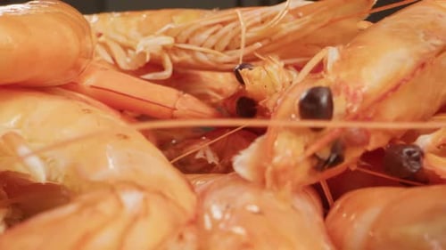 Garnelen aus nächster Nähe, Probe mit Makrostruktur, frische Garnelen in der Küche, fertig zum Kochen