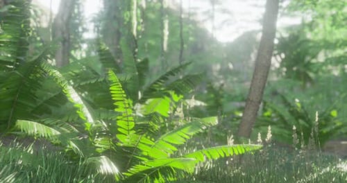 Lush Green Ferns in a Serene Forest During Daylight Hours